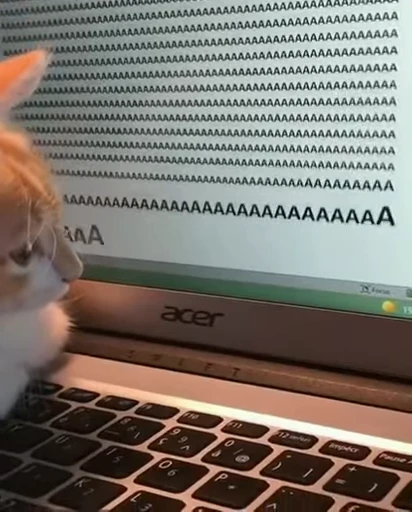 🐈 Стикер «Miomio» для Telegram