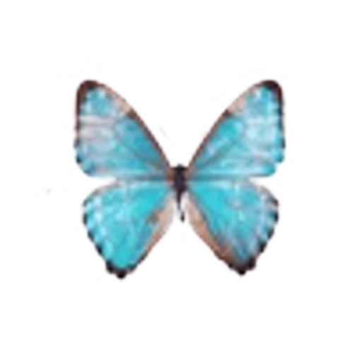 🦋 Эмодзи «Весенние буквы, бабочки и цветы. Русские и английские» для Telegram