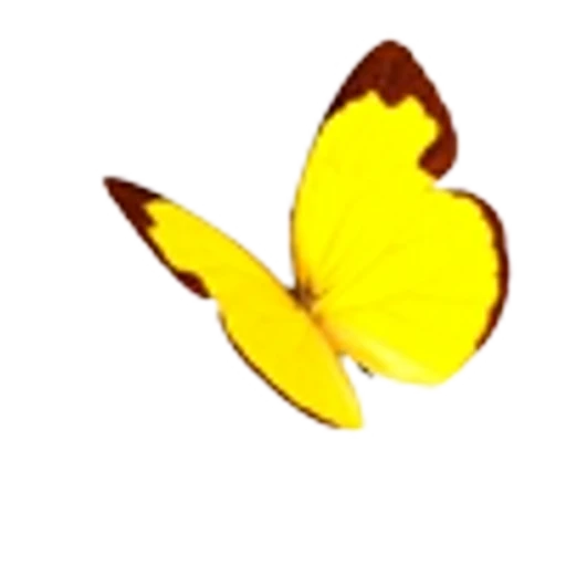 🦋 Эмодзи «Весенние буквы, бабочки и цветы. Русские и английские» для Telegram