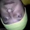 😈 Эмодзи «Горин» для Telegram