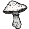 🍄 Эмодзи «Gothic Art» для Telegram