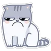 🐈 Эмодзи «Персик Серый» для Telegram