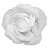 🌹 Эмодзи «𝒢𝘳𝘢𝘺» для Telegram