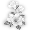 🌸 Эмодзи «𝒢𝘳𝘢𝘺» для Telegram