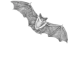 🦇 Эмодзи «𝒢𝘳𝘢𝘺» для Telegram