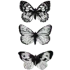 🦋 Эмодзи «𝒢𝘳𝘢𝘺» для Telegram