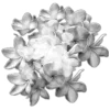 🌸 Эмодзи «𝒢𝘳𝘢𝘺» для Telegram