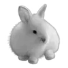 🌟 Эмодзи «Grey» для Telegram