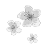 🌸 Эмодзи «Grey» для Telegram