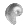 🐚 Эмодзи «Grey» для Telegram