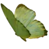 🦋 Эмодзи «Green Aesthetics» для Telegram