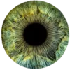 👁 Эмодзи «Green Aesthetics» для Telegram