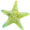 ⭐️ Эмодзи «Green Aesthetics» для Telegram