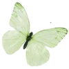 🦋 Эмодзи «Green Aesthetics» для Telegram