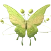 🦋 Эмодзи «Green Aesthetics» для Telegram
