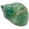🐚 Эмодзи «Green Aesthetics» для Telegram