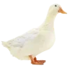 🦆 Эмодзи «ˏˋ Запах Весны» для Telegram