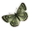 🦋 Эмодзи «ˏˋ Запах Весны» для Telegram