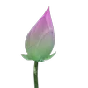 🪷 Эмодзи «Green pink» для Telegram