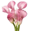 🌸 Эмодзи «Green pink» для Telegram