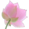 🪷 Эмодзи «Green pink» для Telegram