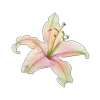🌸 Эмодзи «Green pink» для Telegram