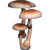 🍄 Эмодзи «грибное царство» для Telegram