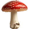 🍄 Эмодзи «грибное царство» для Telegram