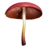 🍄 Эмодзи «грибное царство» для Telegram