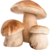 🍄 Эмодзи «грибное царство» для Telegram