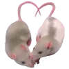 🐁 Эмодзи «The Best For Girls #girl #style #cute» для Telegram