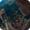 Эмодзи Ariel для Telegram — скачать