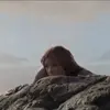 🌟 Эмодзи «Ariel» для Telegram