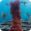 🌟 Эмодзи «Ariel» для Telegram