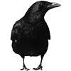 🦜 Эмодзи «Halloween Vibe» для Telegram