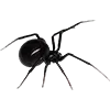 🕷 Эмодзи «Halloween Vibe» для Telegram