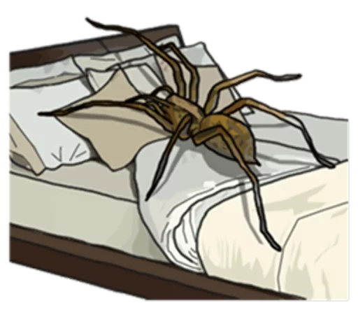 😴 Стикер «Handsome Spider» для Telegram