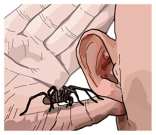 👂 Стикер «Handsome Spider» для Telegram