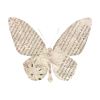 🤩 Эмодзи «Han ー» для Telegram