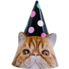 🥳 Эмодзи «Birthday» для Telegram