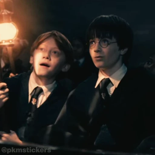 🤩 Стикер «Harry Potter I» для Telegram