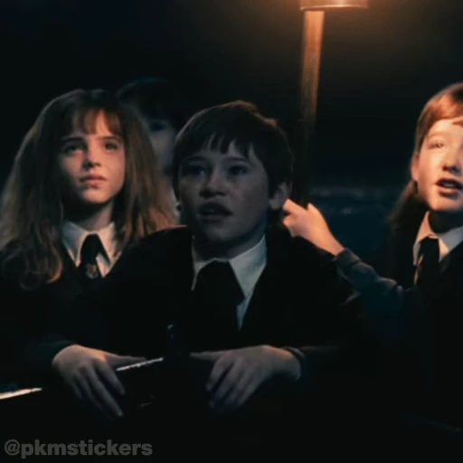 🤩 Стикер «Harry Potter I» для Telegram