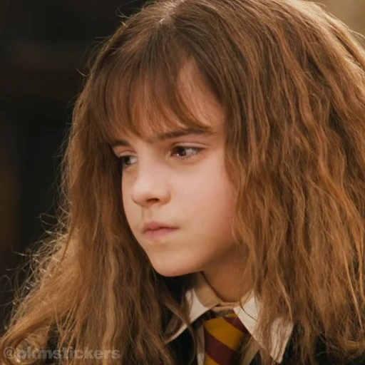 🤨 Стикер «Harry Potter I» для Telegram