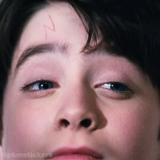 Стикерпак Harry Potter I для Telegram