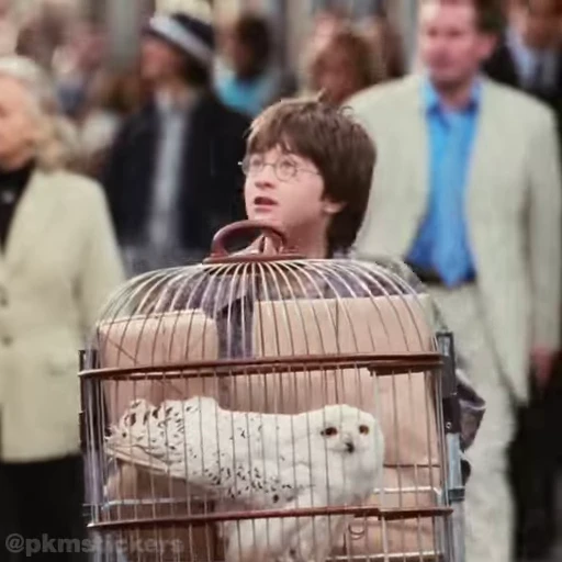 🫥 Стикер «Harry Potter I» для Telegram