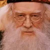 🤩 Эмодзи «🤩 Гарри Поттер» для Telegram