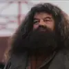 🤩 Эмодзи «🤩 Гарри Поттер» для Telegram