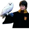 🤩 Эмодзи «Hp» для Telegram