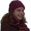 🤩 Эмодзи «Hp» для Telegram