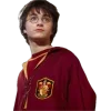 🤩 Эмодзи «Hp» для Telegram